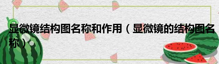 显微镜结构图名称和作用 显微镜的结构图名称