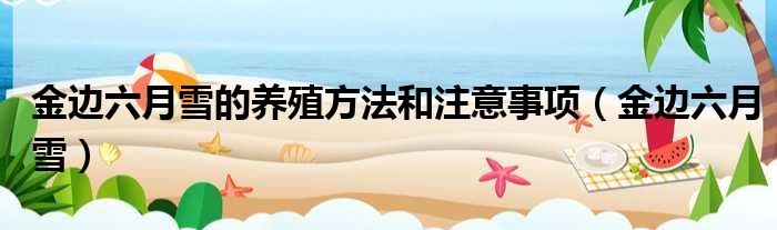 金边六月雪的养殖方法和注意事项 金边六月雪