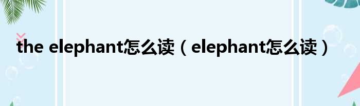 the elephant怎么读 elephant怎么读