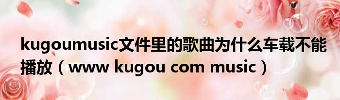 kugoumusic文件里的歌曲为什么车载不能播放 www kugou com music