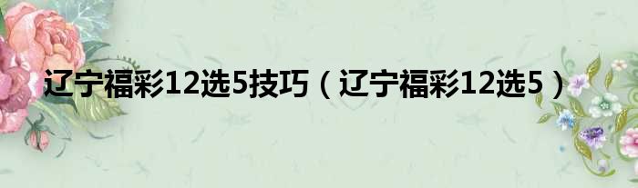 辽宁福彩12选5技巧 辽宁福彩12选5