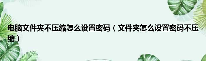 电脑文件夹不压缩怎么设置密码 文件夹怎么设置密码不压缩