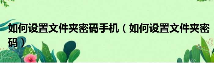 如何设置文件夹密码手机 如何设置文件夹密码