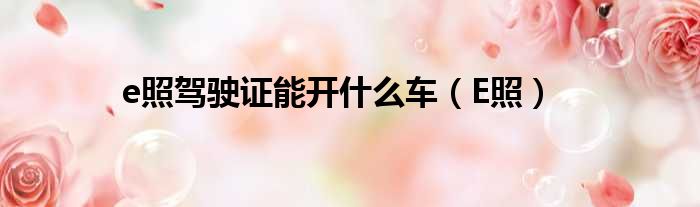 e照驾驶证能开什么车 E照