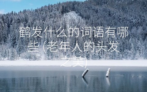 鹤发什么的词语有哪些 (老年人的头发之美)