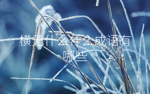 横无什么什么成语有哪些