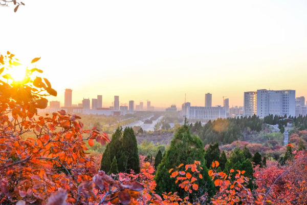 章丘是哪个省的城市