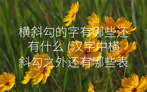 横斜勾的字有哪些还有什么 (汉字中横斜勾之外还有哪些表达方式)