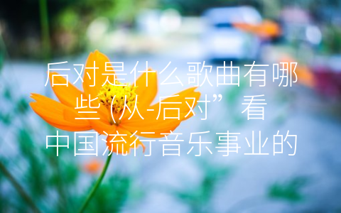 后对是什么歌曲有哪些 (从-后对”看中国流行音乐事业的发展历程)