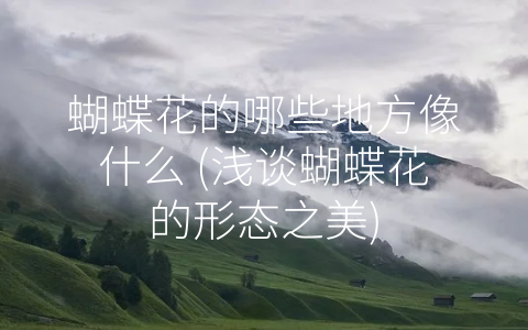 蝴蝶花的哪些地方像什么 (浅谈蝴蝶花的形态之美)