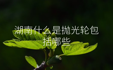 湖南什么是抛光轮包括哪些