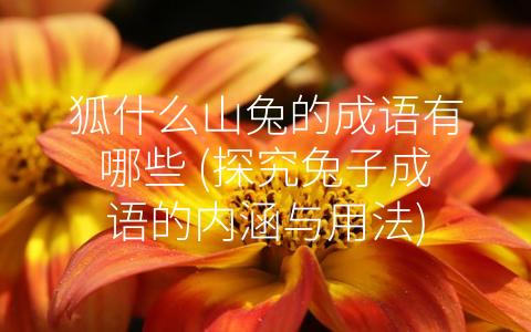 狐什么山兔的成语有哪些 (探究兔子成语的内涵与用法)