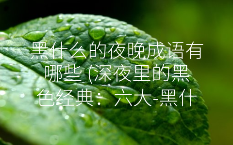 黑什么的夜晚成语有哪些 (深夜里的黑色经典：六大-黑什么”的成语)