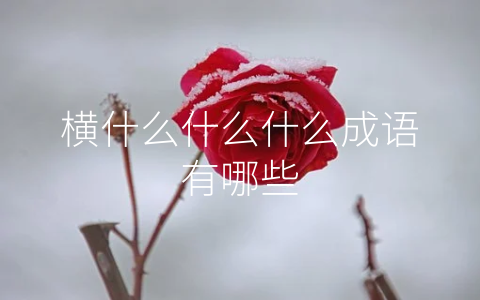 横什么什么什么成语有哪些