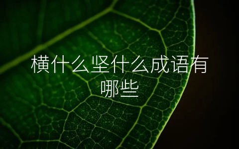 横什么坚什么成语有哪些