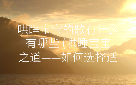 哄睡宝宝的歌有什么有哪些 (哄睡宝宝之道——如何选择适合宝宝的哄睡歌曲。)