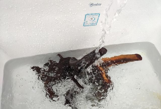 干树根一直在水里泡着能沉吗?为什么呢图2