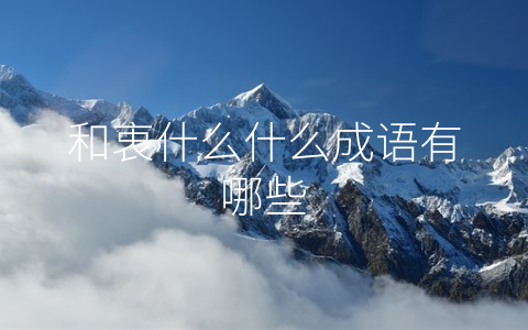 和衷什么什么成语有哪些