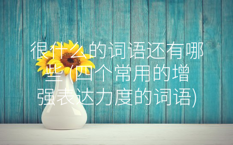 很什么的词语还有哪些 (四个常用的增强表达力度的词语)