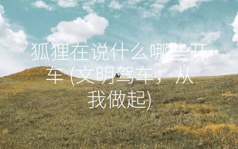 狐狸在说什么哪些开车 (文明驾车，从我做起)