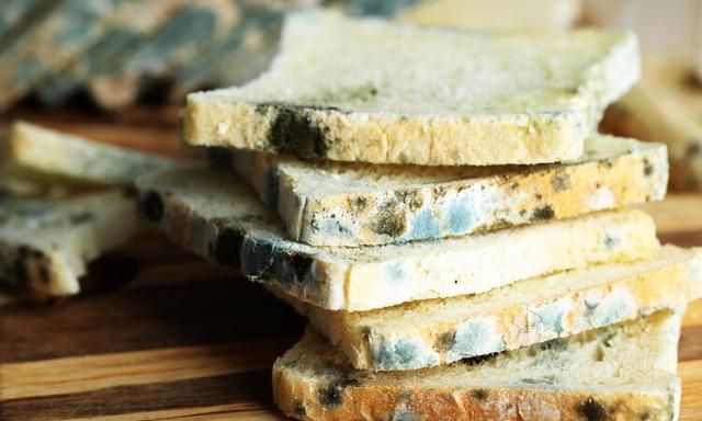 黄曲霉素的毒性是砒霜的多少倍大图2