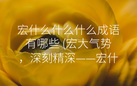 宏什么什么什么成语有哪些 (宏大气势，深刻精深——宏什么什么什么成语解析)