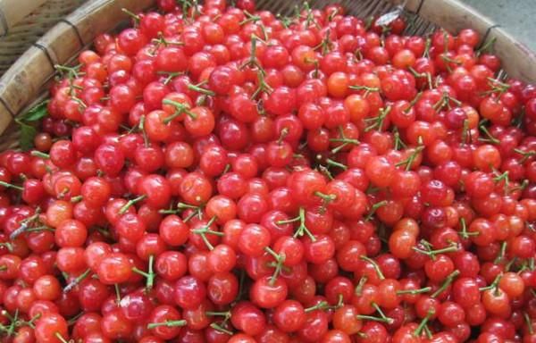 清洗樱桃时用清水清洗还不如不洗图3