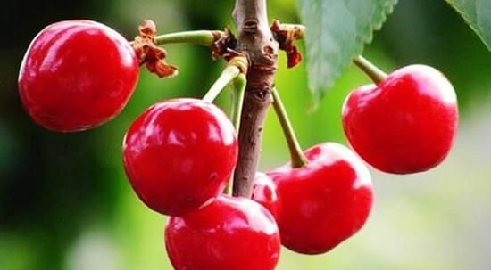 清洗樱桃时用清水清洗还不如不洗图10