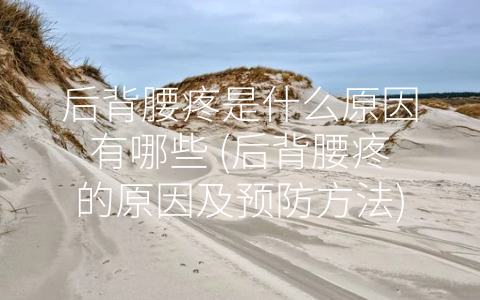 后背腰疼是什么原因有哪些 (后背腰疼的原因及预防方法)