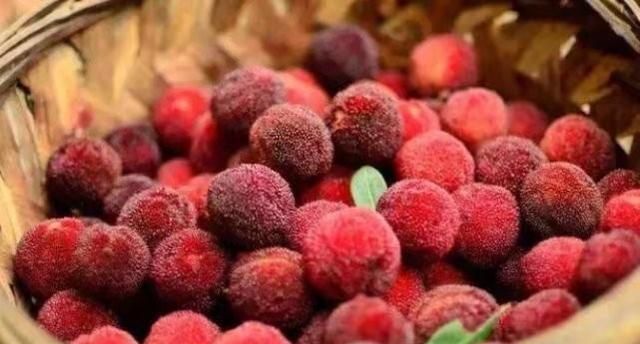 杨梅要怎么清洗 杨梅怎么清洗泡酒