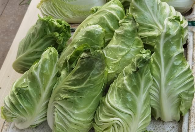 春天吃包菜圆的和尖的有什么区别图4