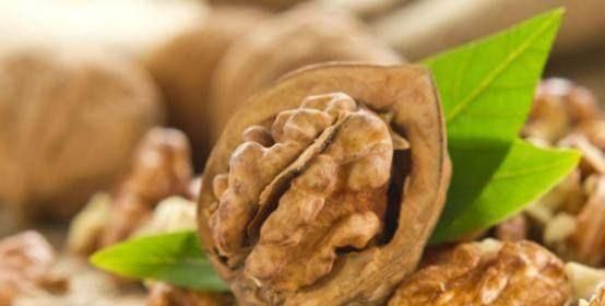 核桃有什么作用和功效