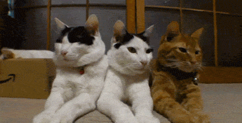 这些水果别多吃,不甜但含糖量却很高英语图3