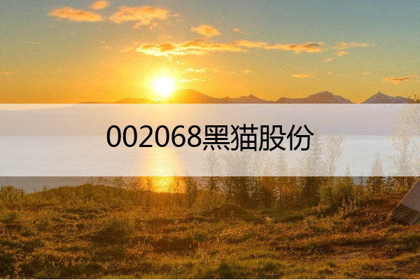 002068黑猫股份 002068黑猫股份1.2亿解禁股的价格是多少