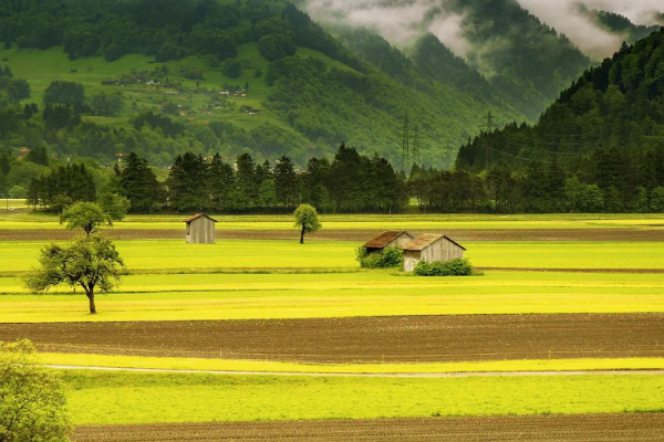 皖是哪个省的简称？