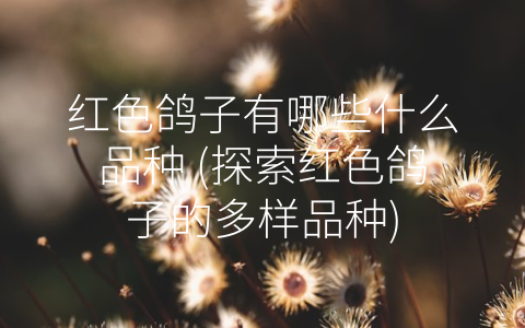 红色鸽子有哪些什么品种 (探索红色鸽子的多样品种)