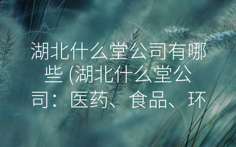 湖北什么堂公司有哪些 (湖北什么堂公司：医药、食品、环保齐发力，创新驱动稳步前行。)