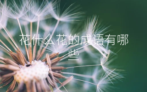 花什么花的成语有哪些
