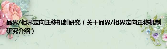 晶界/相界定向迁移机制研究 关于晶界/相界定向迁移机制研究介绍