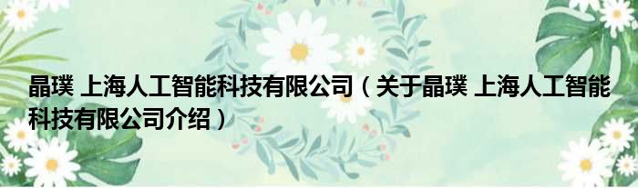 晶璞 上海人工智能科技有限公司 关于晶璞 上海人工智能科技有限公司介绍