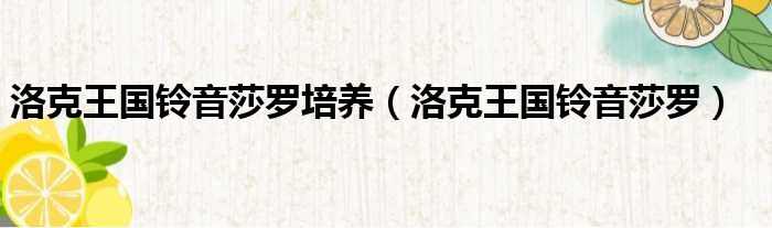 洛克王国铃音莎罗培养 洛克王国铃音莎罗