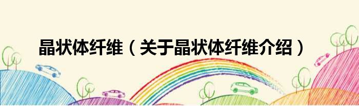 晶状体纤维 关于晶状体纤维介绍