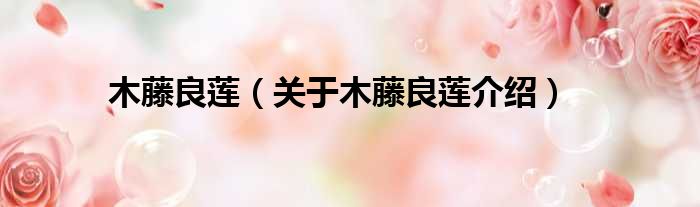 木藤良莲 关于木藤良莲介绍