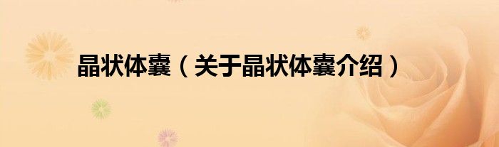 晶状体囊 关于晶状体囊介绍