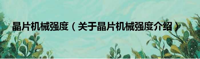 晶片机械强度 关于晶片机械强度介绍