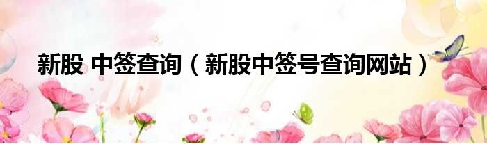 新股 中签查询 新股中签号查询网站