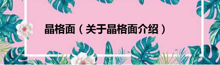 晶格面 关于晶格面介绍