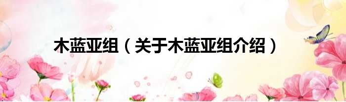 木蓝亚组 关于木蓝亚组介绍