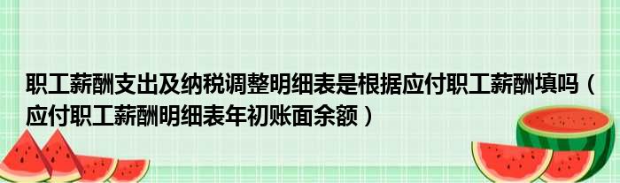 职工薪酬支出及纳税调整明细表是根据应付职工薪酬填吗 应付职工薪酬明细表年初账面余额