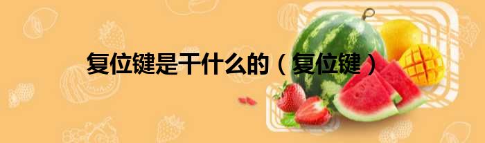 复位键是干什么的 复位键